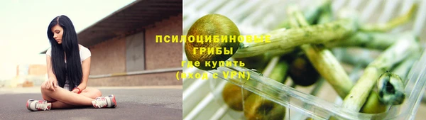 винт Алексеевка