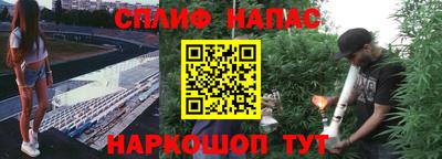 шишки Коммунар