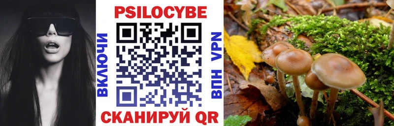 Псилоцибиновые грибы MAGIC MUSHROOMS OMG как войти Учалы