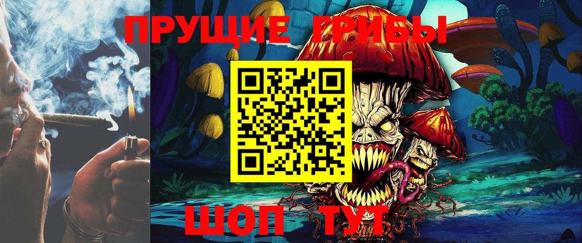 Галлюциногенные грибы прущие грибы  Вход с VPN  Галлюциногенные грибы мицелий  Учалы 